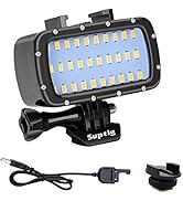Waterproof LED video light for underwater photography. Features 30 LED bulbs, adjustable mount, and comes with USB cable and hot shoe adapter accessories.