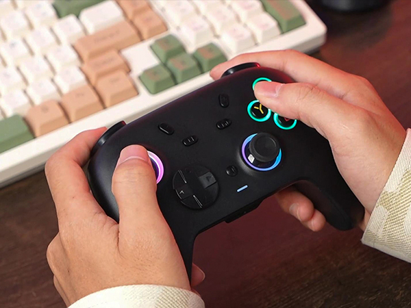 a person holding a controller in their hands.