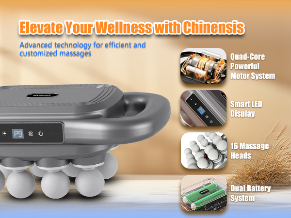 16 Head Massage Gun Deep Tissue
