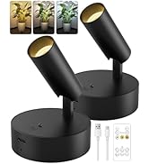 GOODEA Spotlights Indoor with Remote, 3000mAh Rechargeable Battery Plant Spotlight Indoor, Wirele...