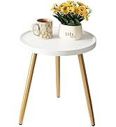 danpinera Round Side Table, Metal Legged Accent Table with Wooden Tray, Small Round End Table for...