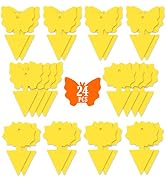 24PCS Fruit Fly Sticky Traps, Fungus Gnat Traps Insect Trap for Plants Kitchen Indoor and Outdoor...