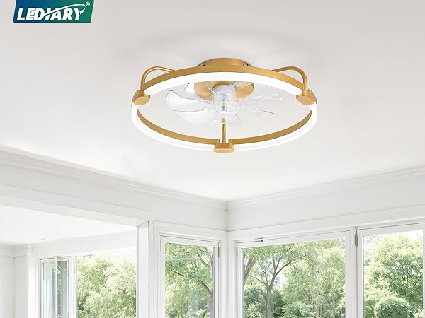 ceiling fan
