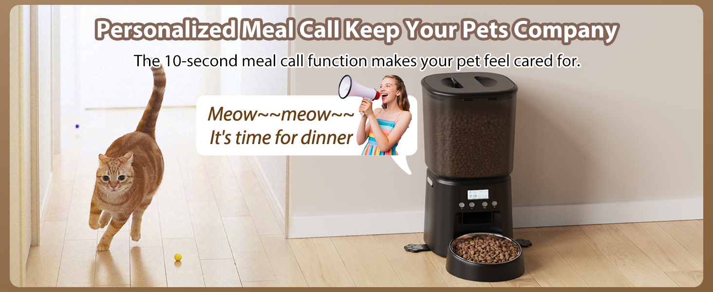 Automatic Cat Feeder