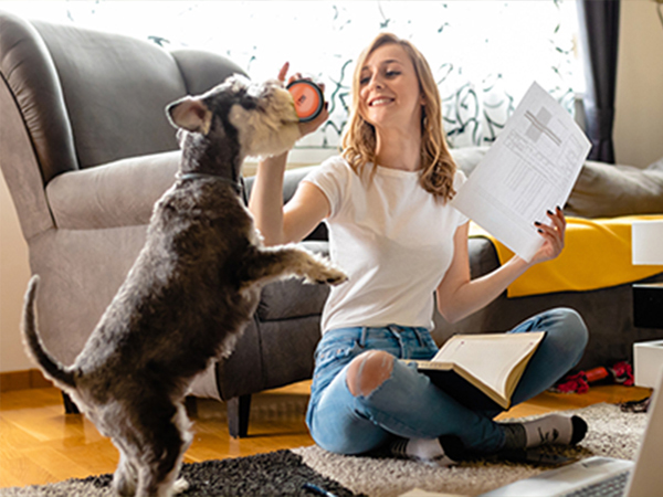 Recordable Buttons for Dogs