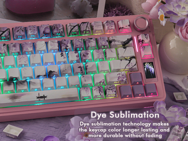 Wisteria Purple Shine Through Keycaps