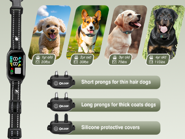 dog collar-6