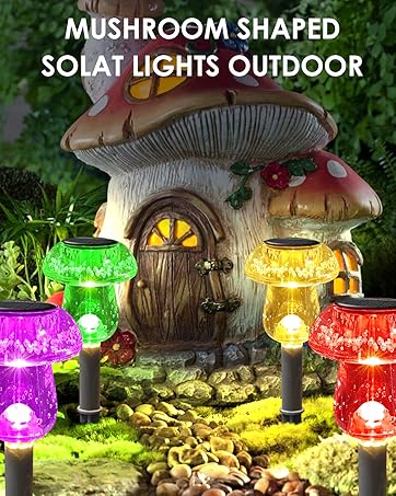 https://m.media-amazon.com/images/S/aplus-media-library-service-media/48bdd64b-30fa-4fd7-88d3-13fc13a4cbfa.__CR161,0,1279,1600_PT0_SX362_V1___.jpg