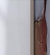 BaldrTherm Humidity Meter Hygrometer, Solar-Powered Room Thermometer Indoor Digital Temperature S...