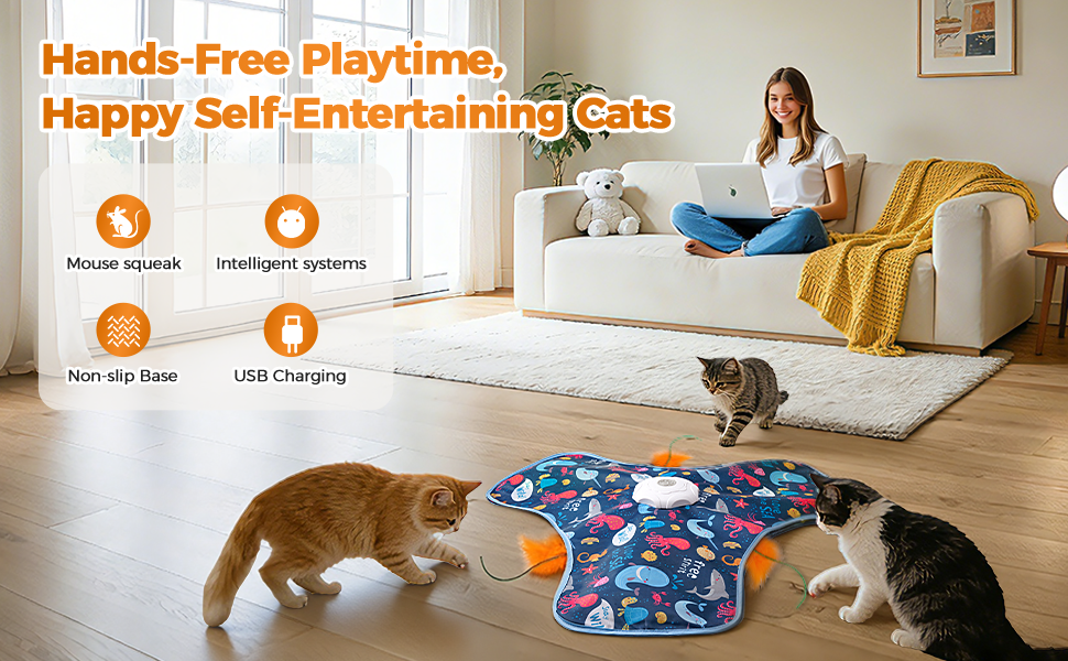 cat toys