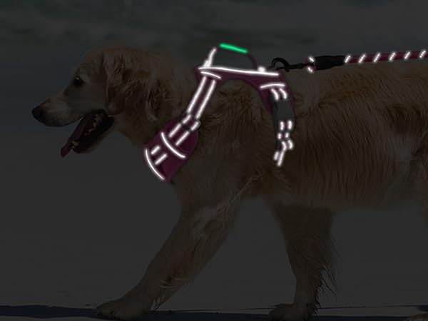 Reflective strips on dog harness for improved visibility at night small large dogs no pull medium
