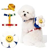 PETHROOM × Wiggle Wiggle Smile We Love Dog Backpack Harness with Leash – Cute Flower-Shaped Mini ...