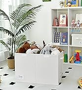 GRANNY SAYS White Toy Chest, White Storage Bins with Lids, Toy Storage for Kids, Stuffed Animal S...