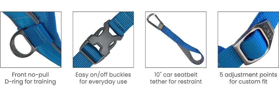 Front no-pull d-ring, easy on/off buckles, car seatbelt tether, 5 adjustment points