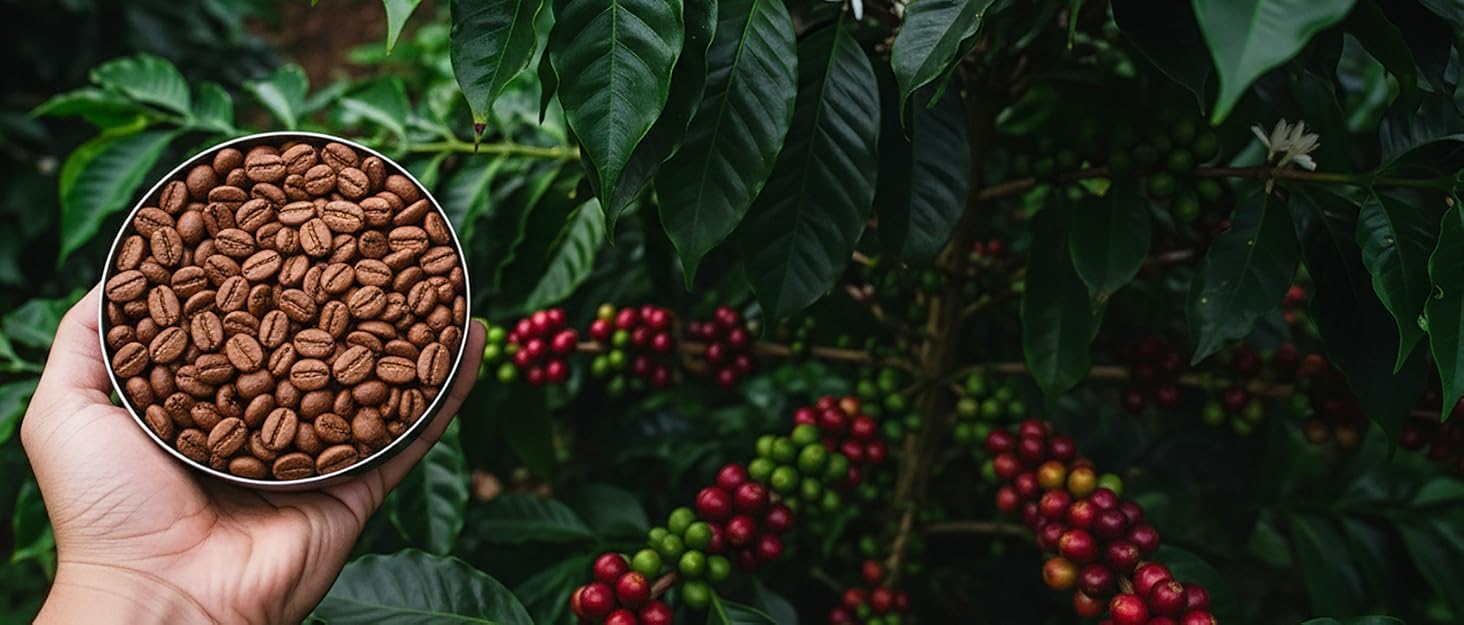 coffee canister, pour over coffee maker