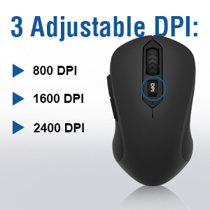 3 Adjustable DPl (800/1600/2400)