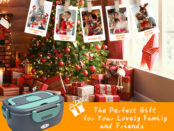 lunch box heater portable