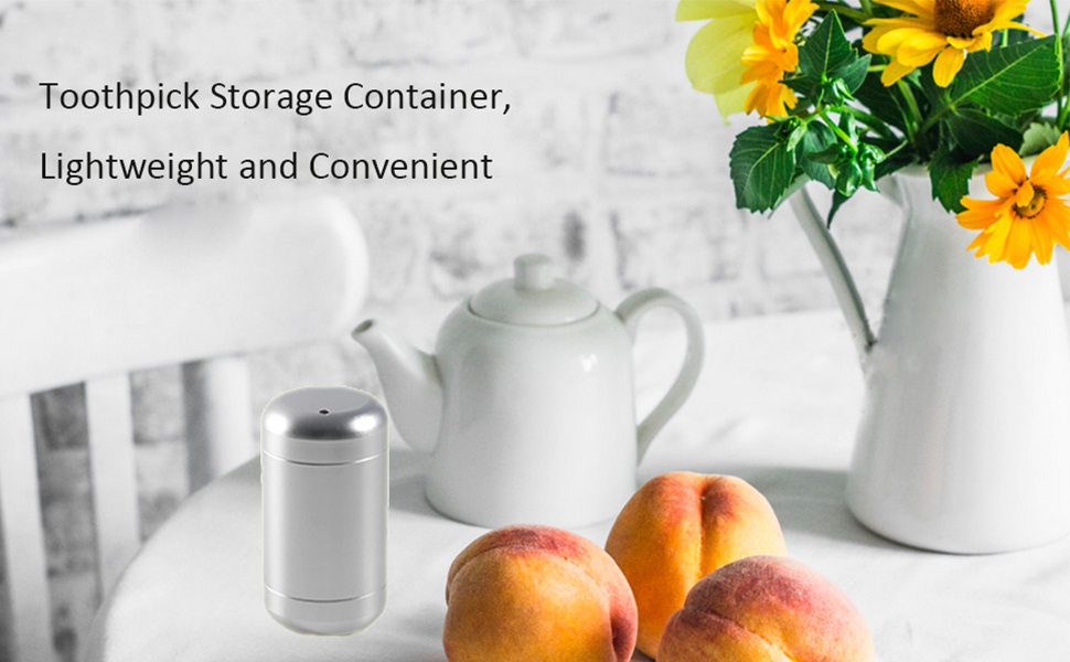 Toothpick Storage Container