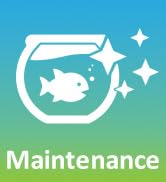 maintain