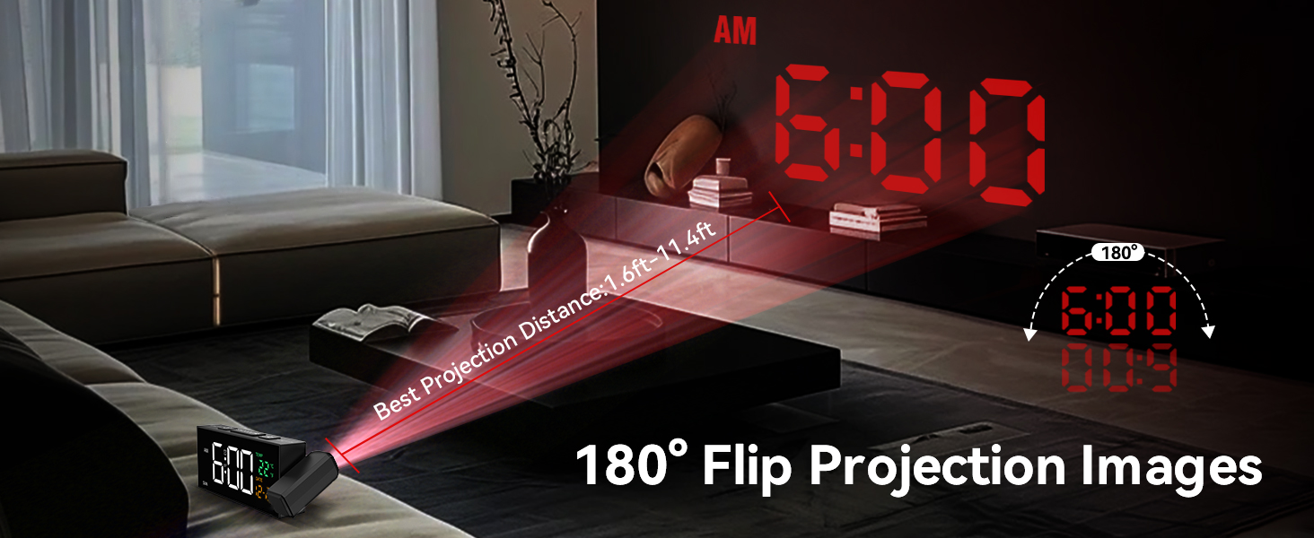180° Filp Projection Images