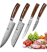 4Pcs Damascus Knife Set, VG10 Steel Core Damascus Kitchen Knife Set with G10 Handle, 8" Chef, 7" ...