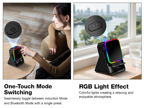 Wireless Induction Speaker