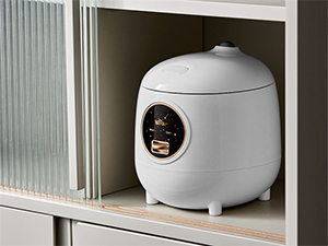 rice cooker