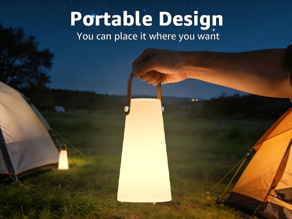 Portable Design
