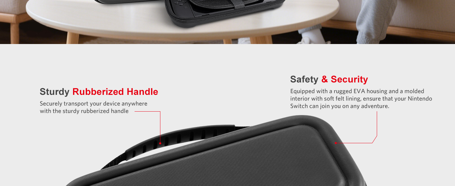 Switch 2 case