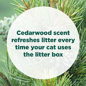 Cedarwood Scent Refreshes Litter Box