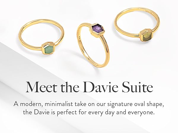 meet the davie suite