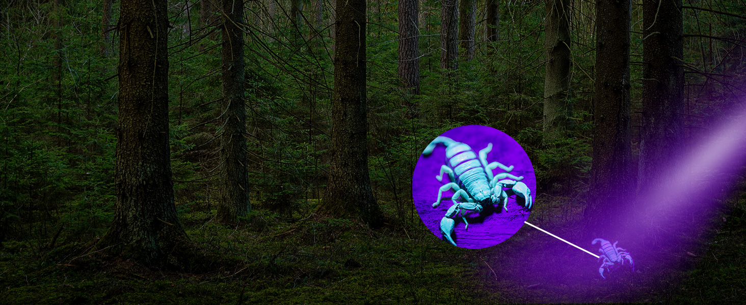 Easily authenticate currency, driver&amp;amp;#39;s license, official identification cards, passports