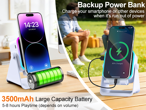 wireless induction speaker