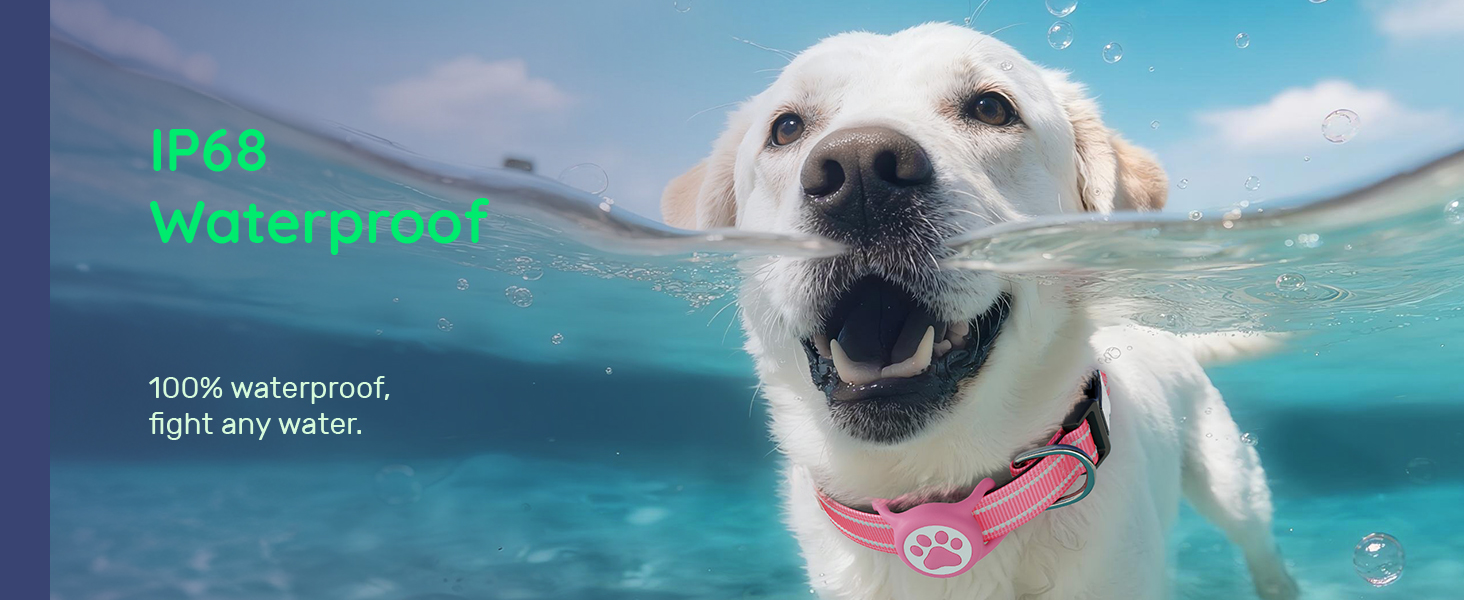 Dog collar