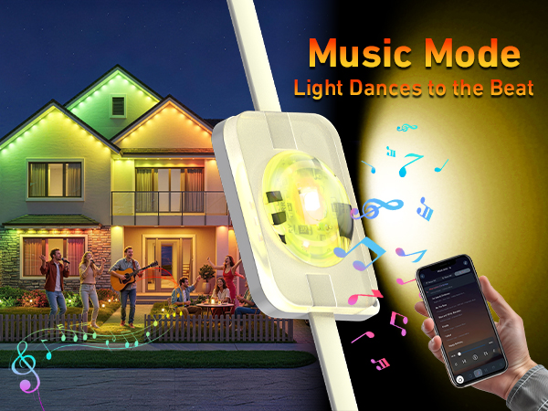 Permanent Outdoor Lights