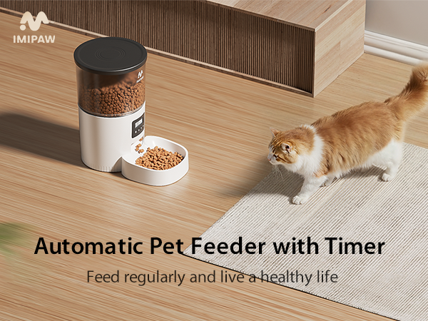 Automatic Cat Feeder