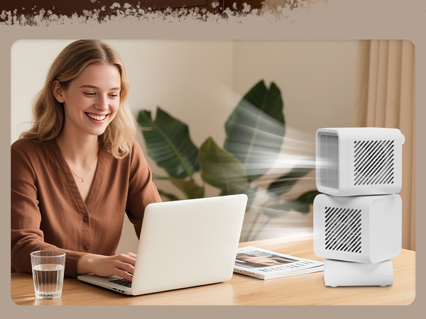 Desk Fan