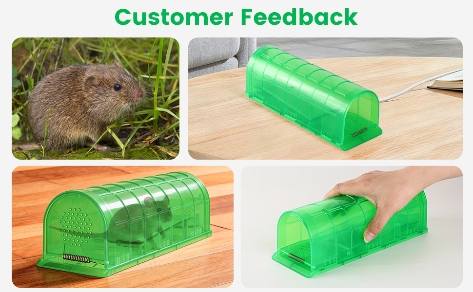 feedback