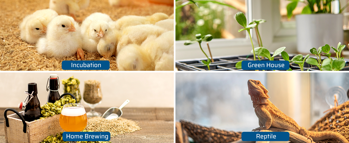 Digital Temperature Controller Thermostat Outlet