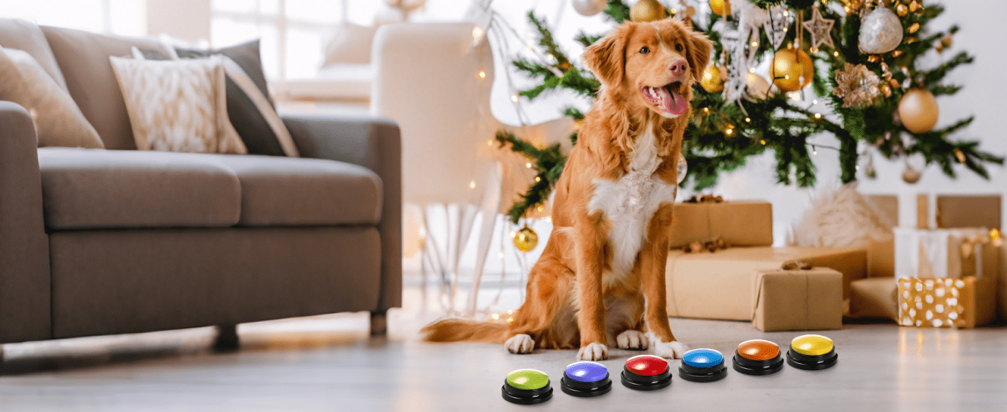 dog talking buttons as gift