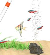 fish tank accessories