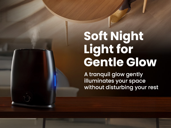 Everlasting Comfort 6L Humidifiers for Bedroom