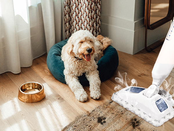 bissell steam mop replacement pads 2685a