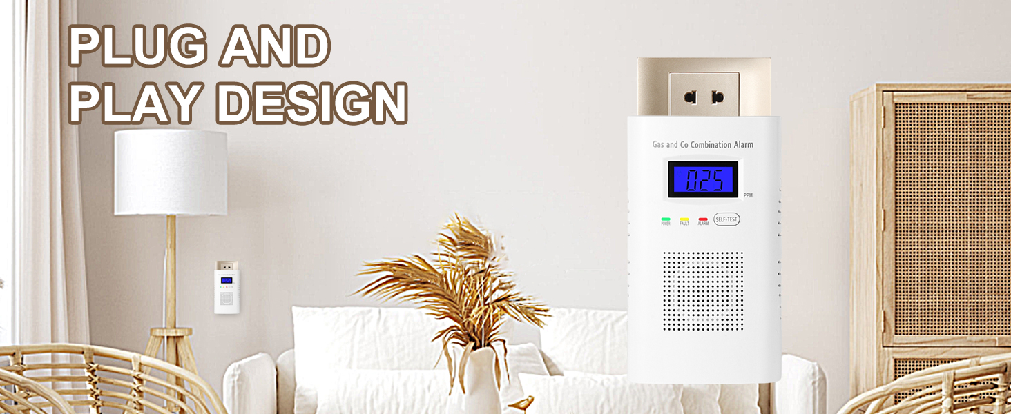gas and carbon monoxide detector