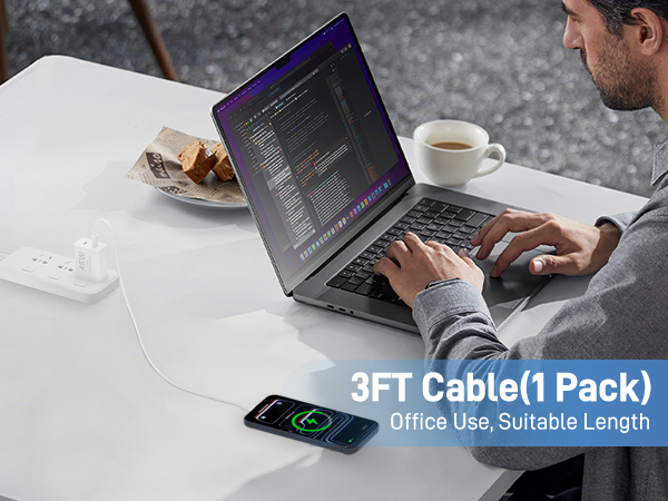 60W 3FT Cable