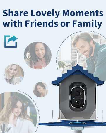 navfs store bird feeder with camera