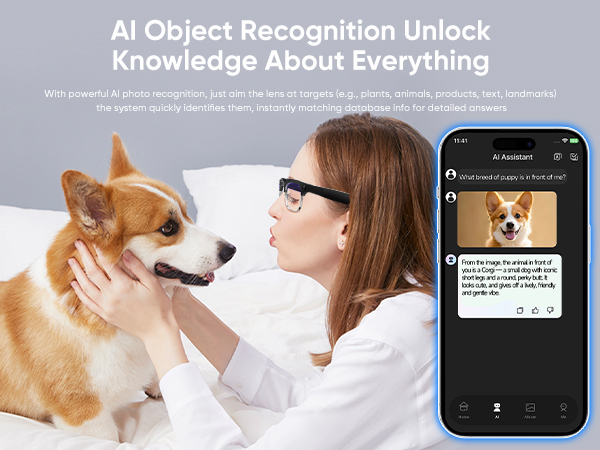 ai glasses translator