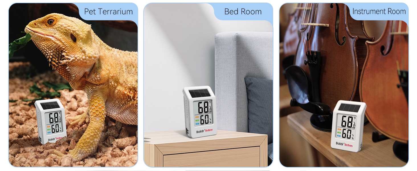 Bluetooth Thermometer