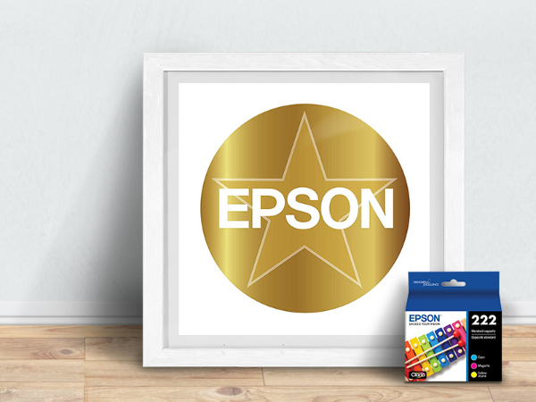 Genuine Epson Ink