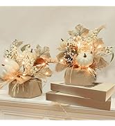 [ 2 Styles &amp; Timer ] Fall Decor 2 Pack 11 Inch Tabletop Maple Tree Fall Decorations for Home, Lig...